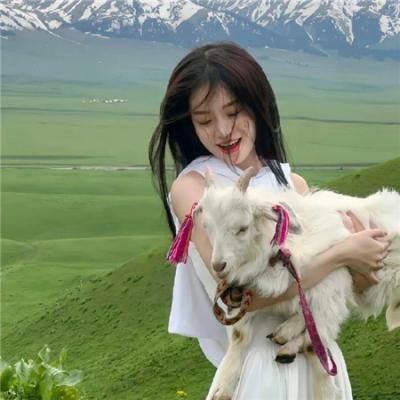女主播风云